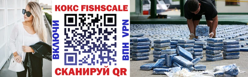 Cocaine FishScale  наркотики  Нахабино 