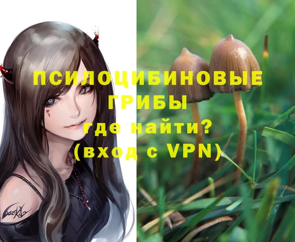 мет Корсаков