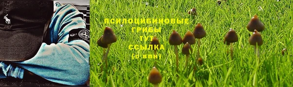 мет Корсаков