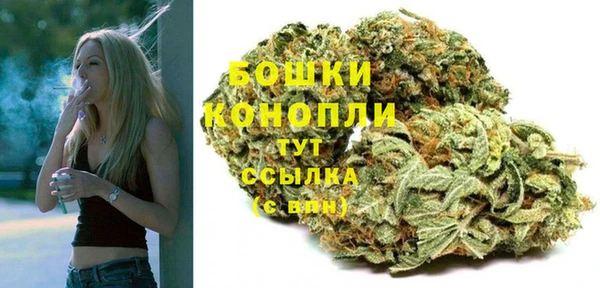 метадон Коряжма